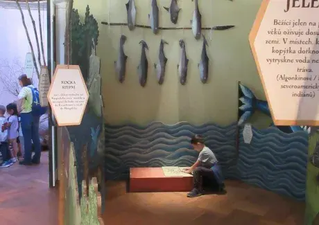 VÝLET - KOSTELEC NAD ORLICÍ