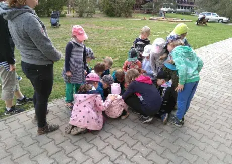 ŠKOL(K)A V PŘÍRODĚ - BĚLEČ NAD ORLICÍ