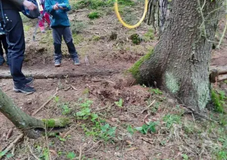 ŠKOL(K)A V PŘÍRODĚ