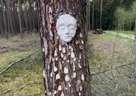 ŠKOL(K)A V PŘÍRODĚ