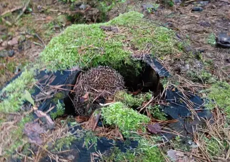 ŠKOL(K)A V PŘÍRODĚ