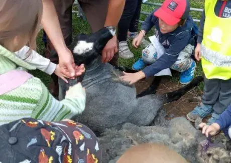 DOŽÍNKY ZÁŘÍ 2023