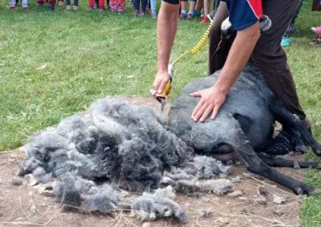 DOŽÍNKY ZÁŘÍ 2023