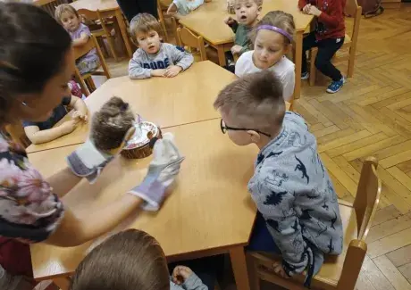 POVÍDÁNÍ O JEŽKU A NETOPÝROVI (záchranná stanice Jaroměř)