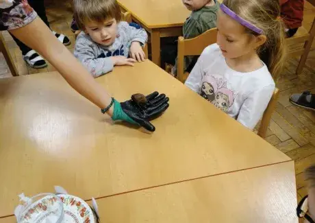 POVÍDÁNÍ O JEŽKU A NETOPÝROVI (záchranná stanice Jaroměř)