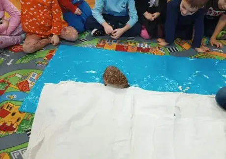 POVÍDÁNÍ O JEŽKU A NETOPÝROVI (záchranná stanice Jaroměř)