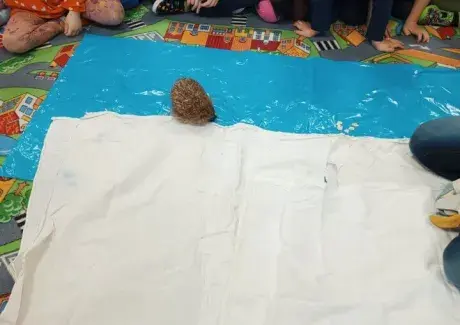 POVÍDÁNÍ O JEŽKU A NETOPÝROVI (záchranná stanice Jaroměř)