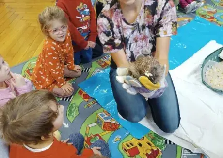 POVÍDÁNÍ O JEŽKU A NETOPÝROVI (záchranná stanice Jaroměř)