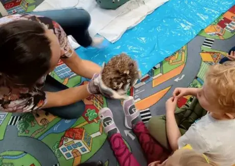 POVÍDÁNÍ O JEŽKU A NETOPÝROVI (záchranná stanice Jaroměř)