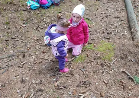 ŠKOLA V PŘÍRODĚ 2024