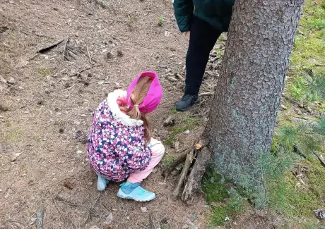 ŠKOLA V PŘÍRODĚ 2024