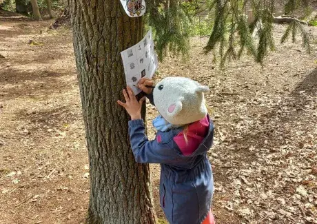 ŠKOLA V PŘÍRODĚ 2024