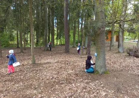 ŠKOLA V PŘÍRODĚ 2024