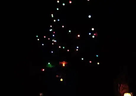 ŠKOLA V PŘÍRODĚ 2024