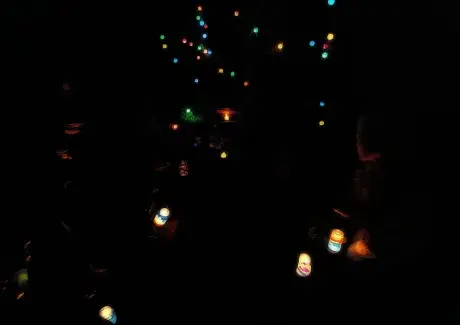 ŠKOLA V PŘÍRODĚ 2024