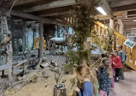 VÝLET DO DOUDLEB NAD ORLICÍ