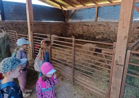 VÝLET DO DOUDLEB NAD ORLICÍ