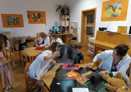 NEMOCNICE PRO MEDVÍDKY