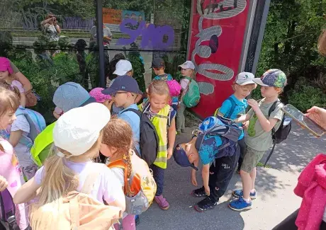 NÁVŠTĚVA LESA 2025