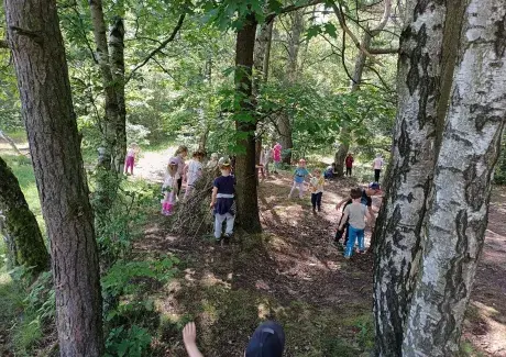 NÁVŠTĚVA LESA 2025