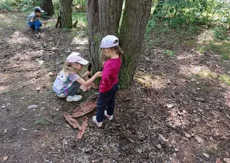 NÁVŠTĚVA LESA 2025