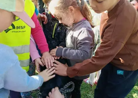 DNY PREZENTACE ZEMĚDĚLSTVÍ