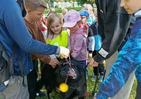 DNY PREZENTACE ZEMĚDĚLSTVÍ