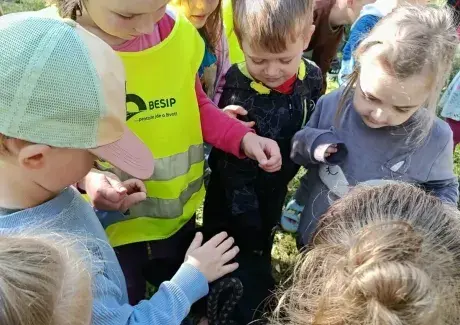 DNY PREZENTACE ZEMĚDĚLSTVÍ