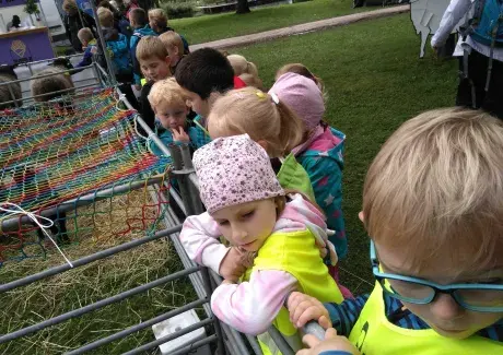 DOŽÍNKY - ŠIMKOVY SADY