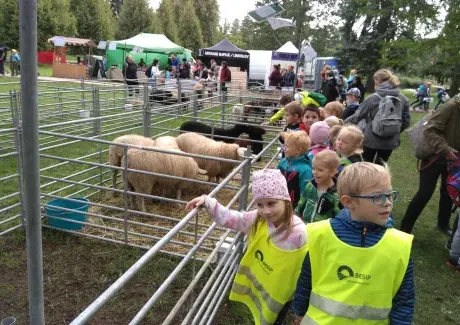 DOŽÍNKY - ŠIMKOVY SADY