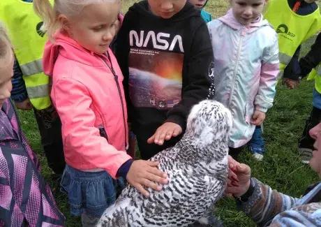 DOŽÍNKY - ŠIMKOVY SADY