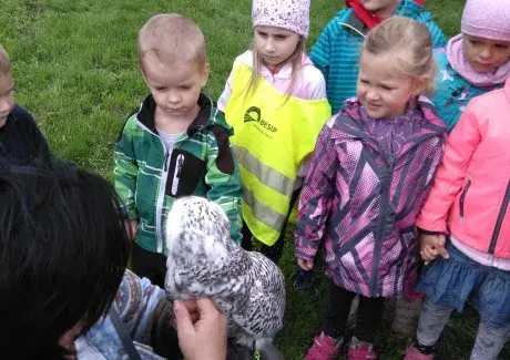 DOŽÍNKY - ŠIMKOVY SADY