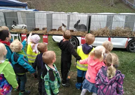 DOŽÍNKY - ŠIMKOVY SADY