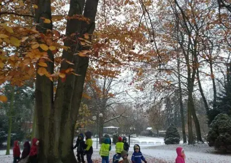 PODZIM V JIRÁSKOVÝCH SADECH