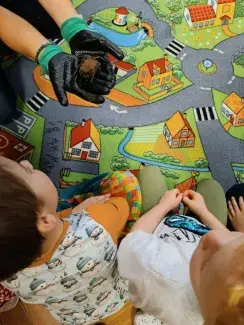 POVÍDÁNÍ O JEŽKU A NETOPÝROVI (záchranná stanice Jaroměř)